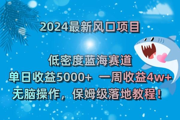 (8545期)2024最新风口项目 低密度蓝海赛道，日收益5000+周收益4w+ 无脑操作，保…-鼎誉项目网
