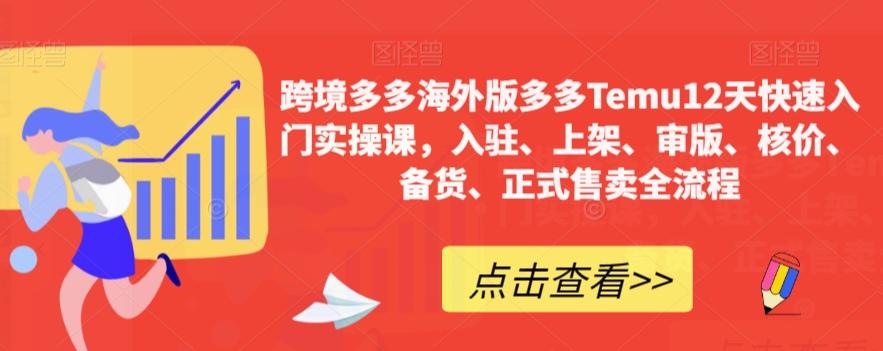 跨境多多海外版多多Temu12天快速入门实操课，入驻、上架、审版、核价、备货、正式售卖全流程-鼎誉项目网