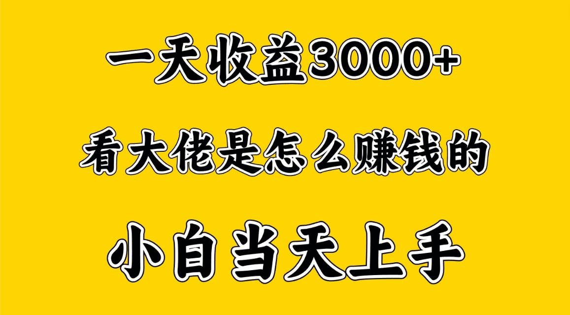 一天赚3000多，大佬是这样赚到钱的，小白当天上手，穷人翻身项目-鼎誉项目网