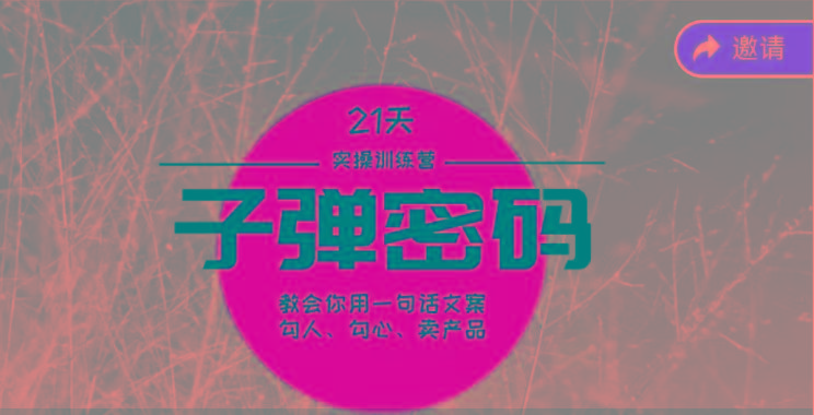 《子弹密码训练营》-用一句话文案勾人勾心卖产品，21天学到顶尖文案大师策略和技巧-鼎誉项目网