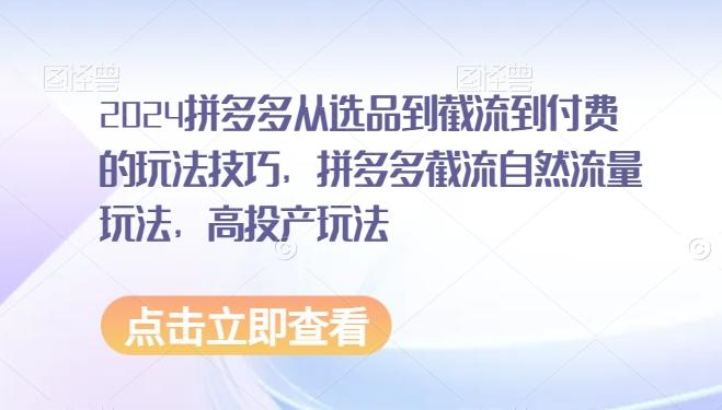 2024拼多多从选品到截流到付费的玩法技巧，拼多多截流自然流量玩法，高投产玩法-鼎誉项目网