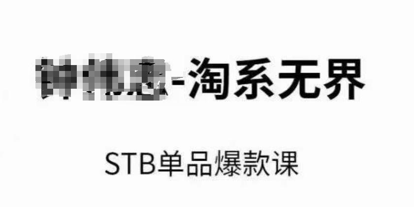 淘系无界STB单品爆款课(2024)，付费带动免费的核心逻辑，万相台无界关键词推广/精准人群的核心-鼎誉项目网