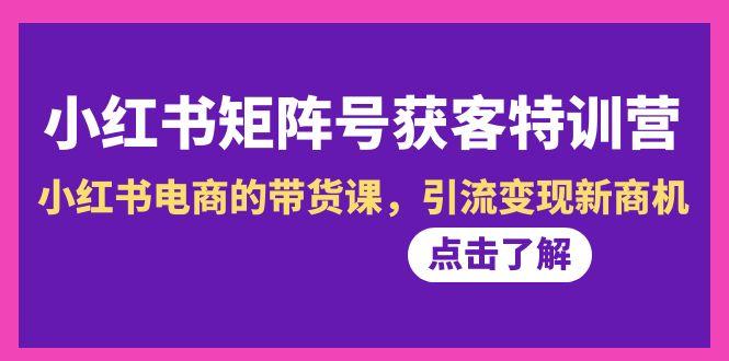 小红书-矩阵号获客特训营-第10期，小红书电商的带货课，引流变现新商机-鼎誉项目网