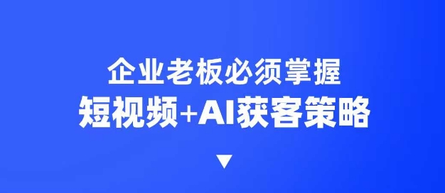 企业短视频AI获客霸屏流量课,6步短视频+AI突围法,3大霸屏抢客策略-鼎誉项目网