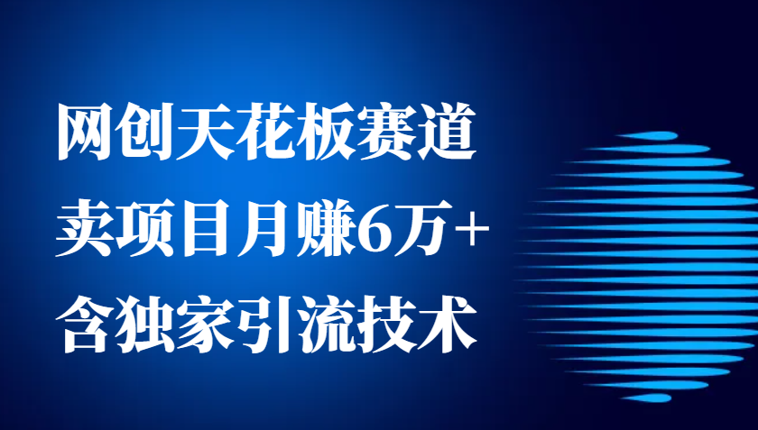 网创天花板赛道，卖项目月赚6万+，含独家引流技术(共26节课)-鼎誉项目网