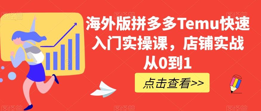 海外版拼多多Temu快速入门实操课，店铺实战从0到1-鼎誉项目网