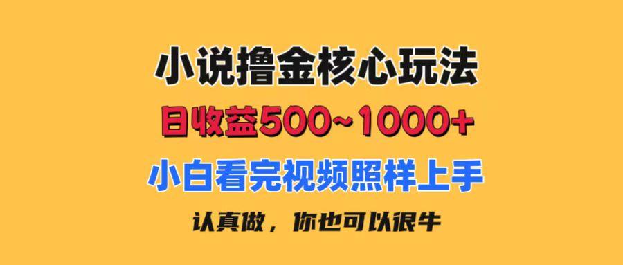 小说撸金核心玩法，日收益500-1000+，小白看完照样上手，0成本有手就行-鼎誉项目网