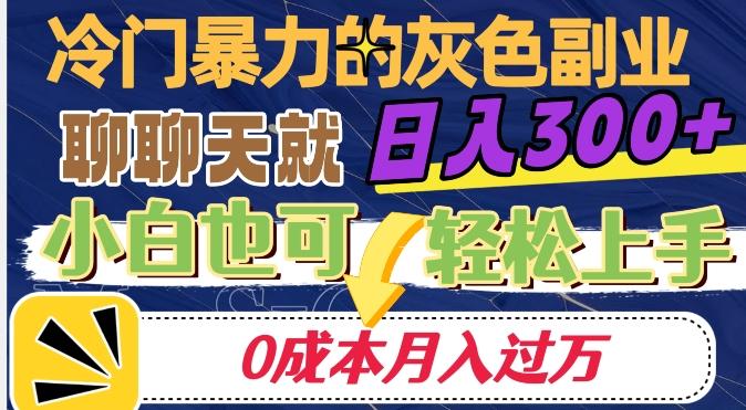 冷门暴利的副业项目，聊聊天就能日入300+，0成本月入过万【揭秘】-鼎誉项目网