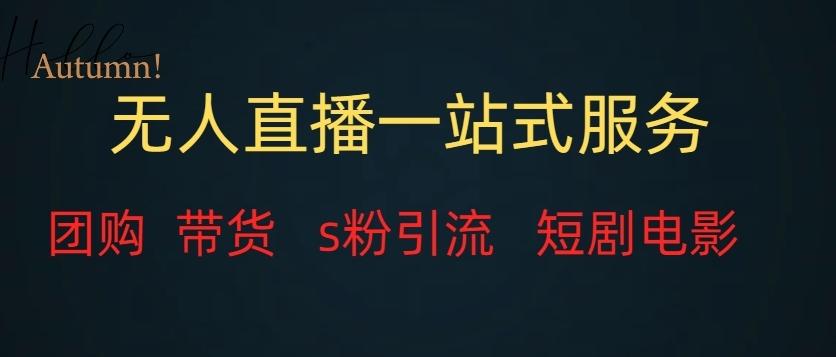 无人直播一站式服务（教程以及变现方式）-鼎誉项目网