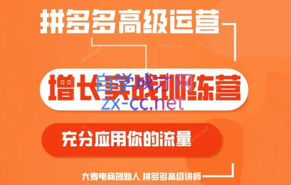 大麦老师·拼多多单品爆款打造课程(更新6月)-鼎誉项目网