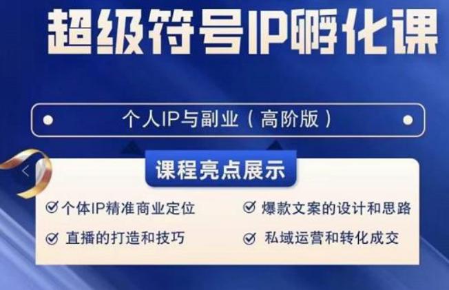 超级符号IP孵化高阶课，建立流量思维底层逻辑，打造属于自己IP（51节课）-鼎誉项目网