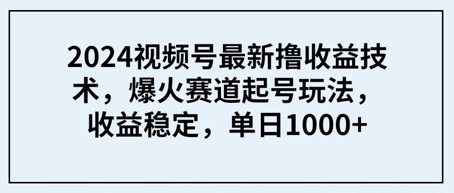 (9651期) 2024视频号最新撸收益技术，爆火赛道起号玩法，收益稳定，单日1000+-鼎誉项目网