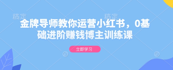 金牌导师教你运营小红书，0基础进阶赚钱博主训练课-鼎誉项目网