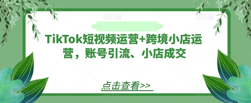 TikTok短视频运营+跨境小店运营，账号引流、小店成交-鼎誉项目网
