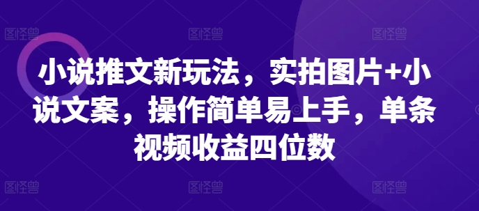 小说推文新玩法，实拍图片+小说文案，操作简单易上手，单条视频收益四位数-鼎誉项目网