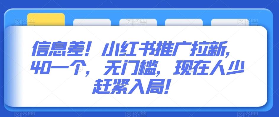 信息差！小红书推广拉新，40一个，无门槛，现在人少赶紧入局！-鼎誉项目网