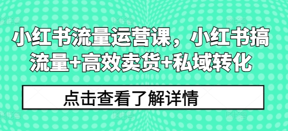 小红书流量运营课，小红书搞流量+高效卖货+私域转化-鼎誉项目网