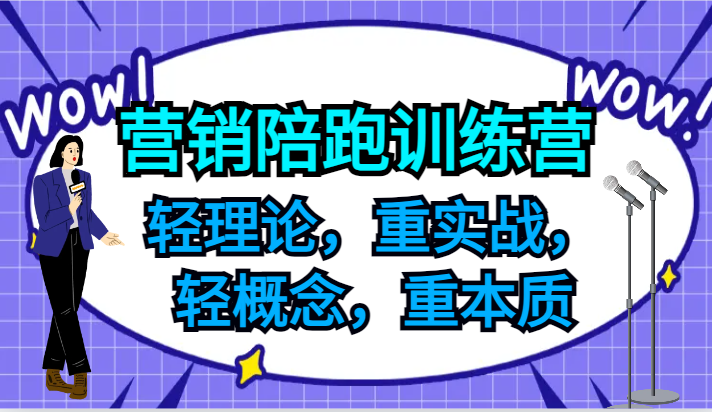 营销陪跑训练营，轻理论，重实战，轻概念，重本质，适合中小企业和初创企业的老板-鼎誉项目网