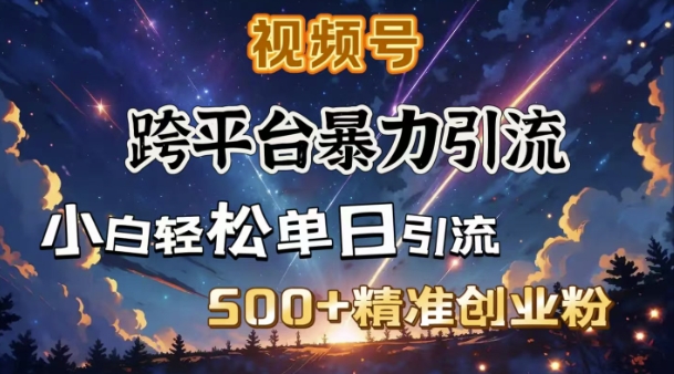 跨平台暴力引流，私域完美闭环，日引500+精准创业粉-鼎誉项目网
