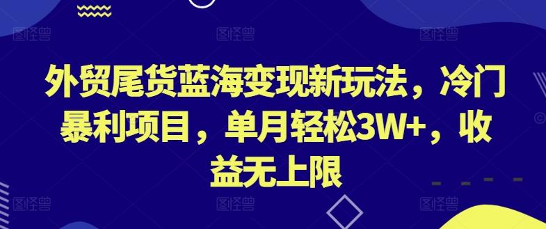 外贸尾货蓝海变现新玩法，冷门暴利项目，单月轻松3W+，收益无上限【揭秘】-鼎誉项目网