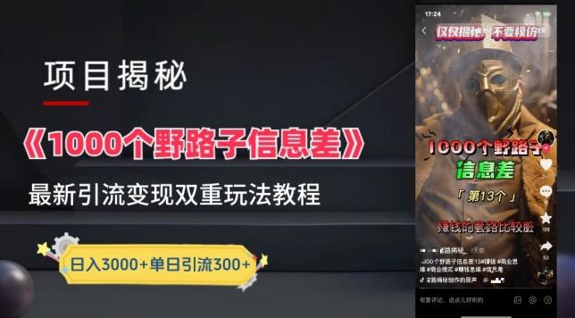 一千个野路子信息差最新玩法教程-变现+引流的玩法具体拆解【揭秘】-鼎誉项目网
