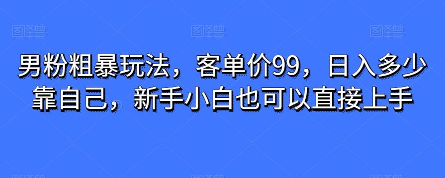 男粉粗暴玩法，客单价99，日入多少靠自己，新手小白也可以直接上手-鼎誉项目网