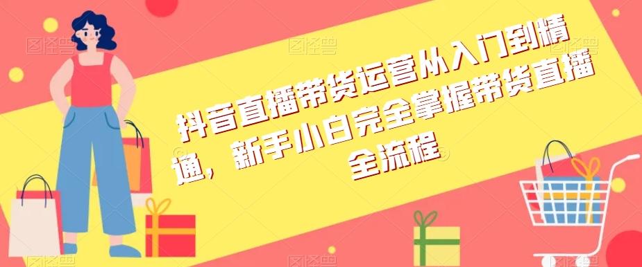 抖音直播带货运营从入门到精通，新手小白完全掌握带货直播全流程-鼎誉项目网