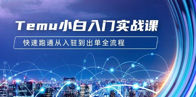 (9295期)Temu小白入门实战课：跨境拼多多电商培训 快速跑通从入驻到出单全流程-12节-鼎誉项目网