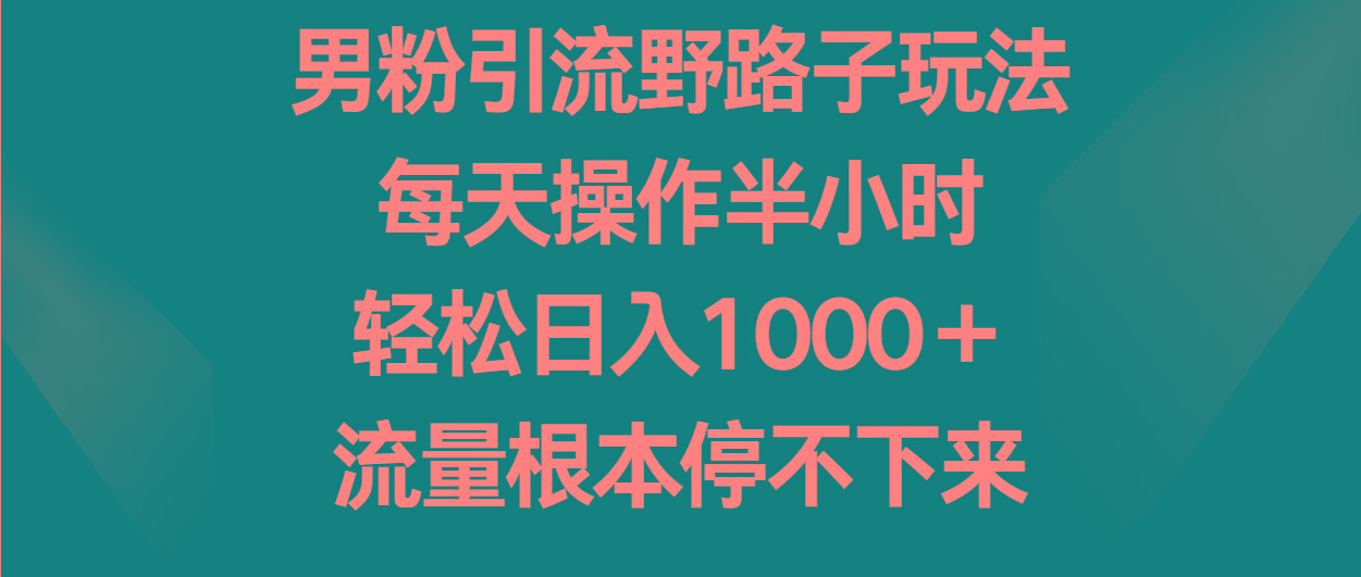 男粉引流野路子玩法,每天操作半小时轻松日入1000+,流量根本停不下来-鼎誉项目网