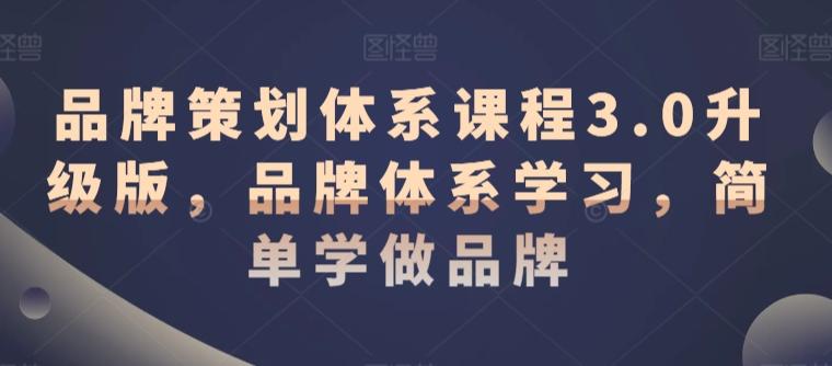 品牌策划体系课程3.0升级版，品牌体系学习，简单学做品牌-鼎誉项目网