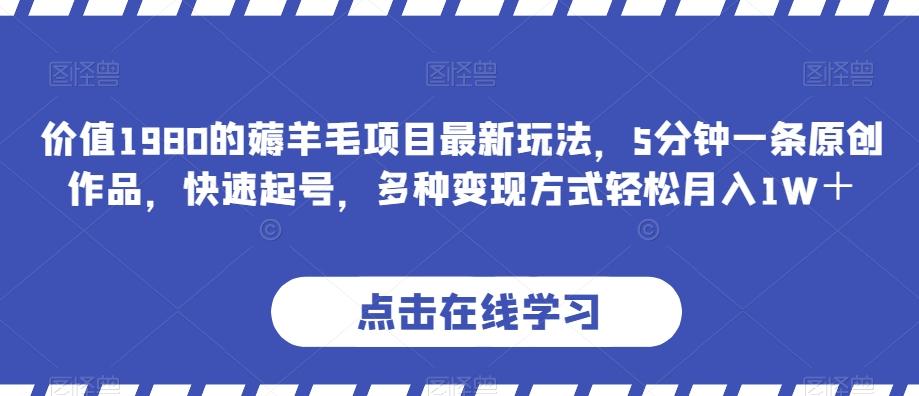 价值1980的薅羊毛项目最新玩法，5分钟一条原创作品，快速起号，多种变现方式轻松月入1W＋【揭秘】-鼎誉项目网