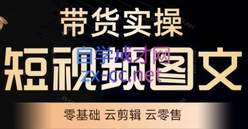 鑫哥·2024零基础短视频带货实操营-鼎誉项目网