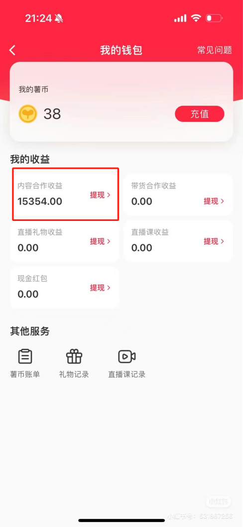 热门评论引爆小红书流量，作品制作简单，广告接到手软，月入过万不是梦-鼎誉项目网