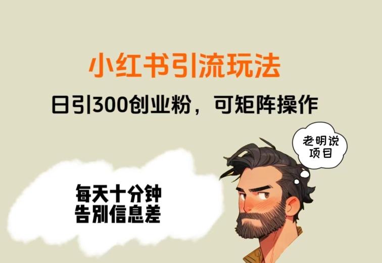 靠小红书视频日印300粉，两分钟一个视频轻松矩阵-鼎誉项目网