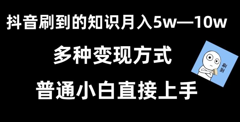 抖音刷到的知识，每天只需2小时，日入2000+，暴力变现，普通小白直接上手【揭秘】-鼎誉项目网