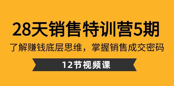 28天销售特训营5期：了解赚钱底层思维，掌握销售成交密码（12节课）-鼎誉项目网