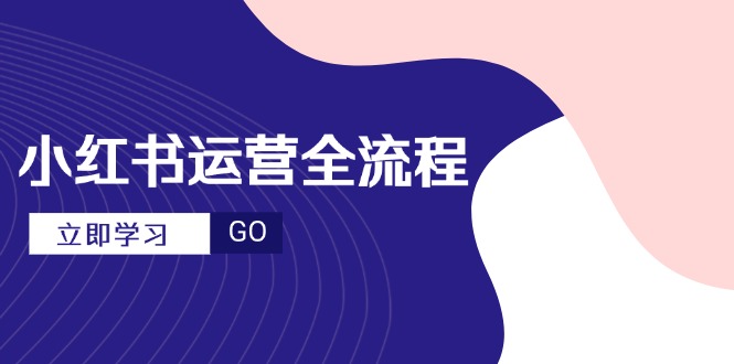 小红书运营全流程，爆款选题文案，视频制作技巧，进阶达人宝典-鼎誉项目网