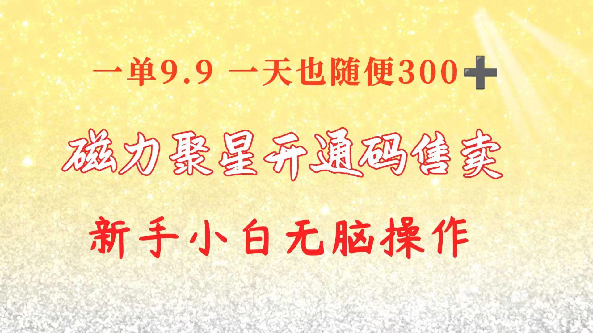 快手磁力聚星码信息差 售卖  一单卖9.9  一天也轻松300+ 新手小白无脑操作-鼎誉项目网