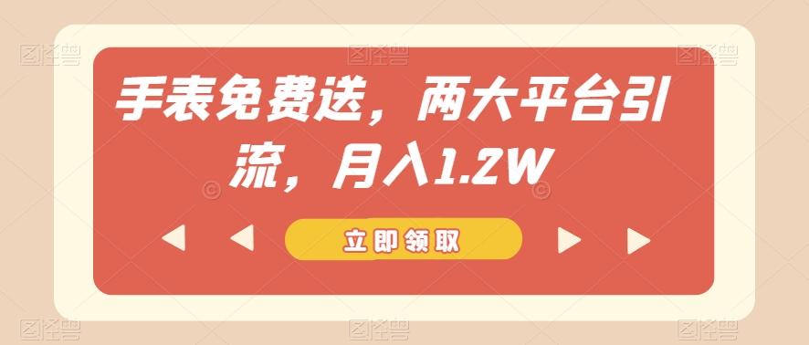 手表免费送，两大平台引流，月入1.2W【揭秘】-鼎誉项目网