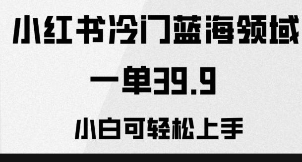 小红书冷门蓝海领域，一单39.9，小白可轻松上手-鼎誉项目网