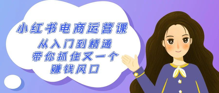 2024小红书电商运营课，从入门到精通，带你抓住又一个赚钱风口(50节课)-鼎誉项目网