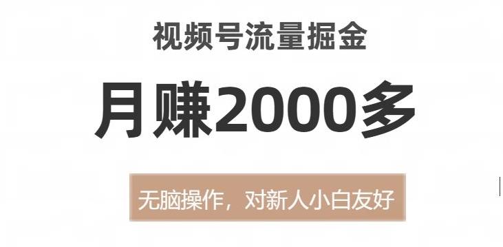 视频号流量掘金，无脑操作，对新人小白友好，月赚2000多【揭秘】-鼎誉项目网