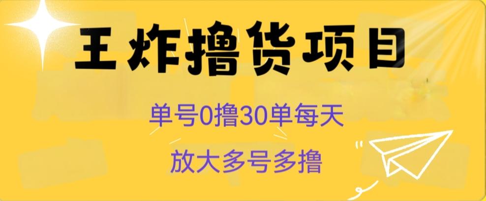 王炸撸货项目，单号0撸30单每天，多号多撸【揭秘】-鼎誉项目网
