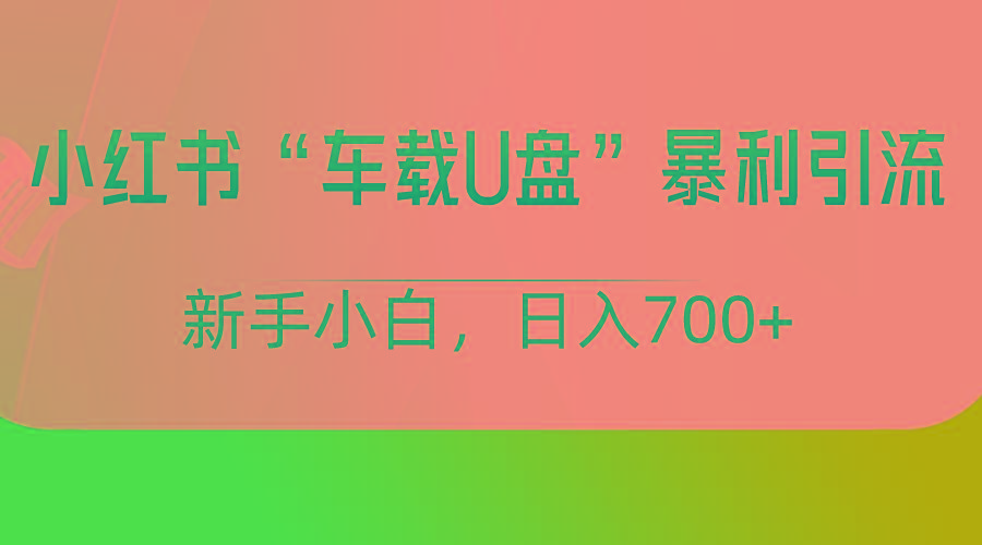 小红书“车载U盘”项目,暴利引流,新手小白轻松日入700+-鼎誉项目网