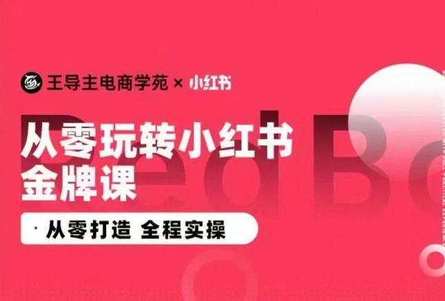 王导主·小红书电商运营实操课，​从零打造  全程实操-鼎誉项目网