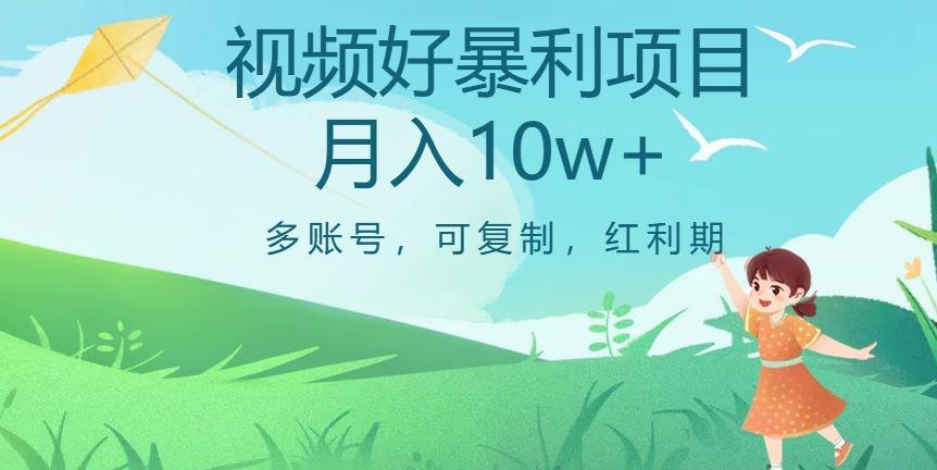 外边收费699项目，视频号暴利项目，多账号可复制，红利期-鼎誉项目网