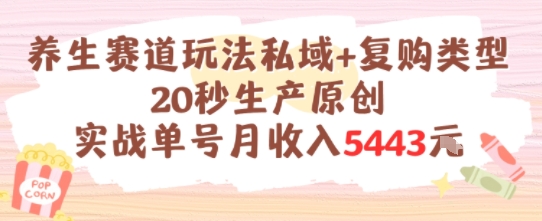 养生赛道玩法私域+复购类型，20秒生产原创实战单号月收入5k+-鼎誉项目网