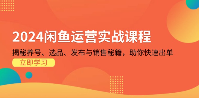 2024闲鱼运营实战课程：揭秘养号、选品、发布与销售秘籍，助你快速出单-鼎誉项目网