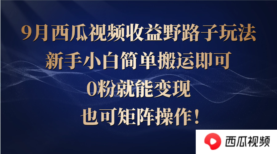 西瓜视频收益野路子玩法，新手小白简单搬运即可，0粉就能变现，也可矩…-鼎誉项目网