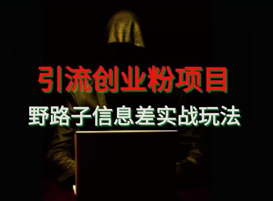 【引流创业粉】野路子信息差玩法实战教学-鼎誉项目网
